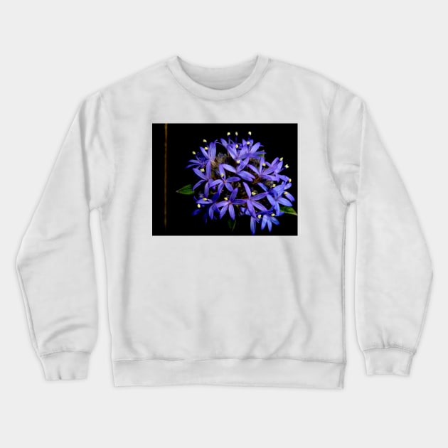 Blue Pincushion Flower Crewneck Sweatshirt by GP1746